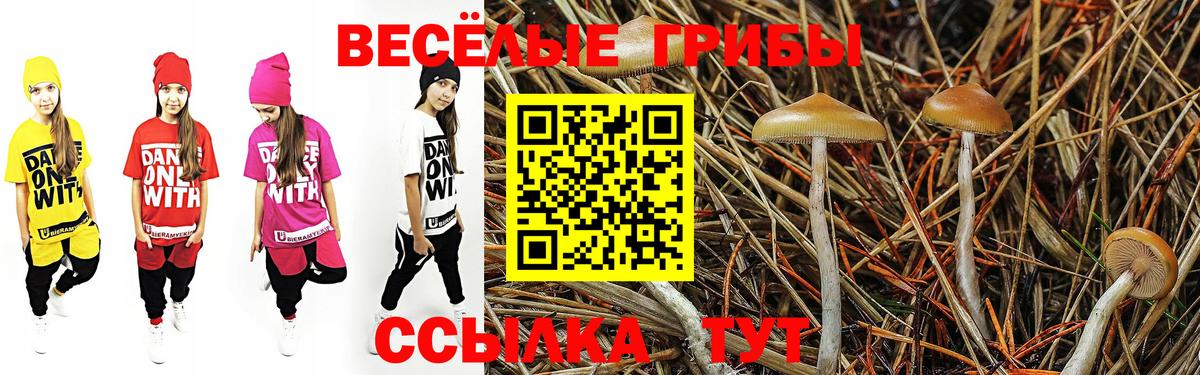 Галлюциногенные грибы ЛСД  Псилоцибиновые грибы Psilocybine cubensis  Конаково  продажа наркотиков  Вход с VPN 